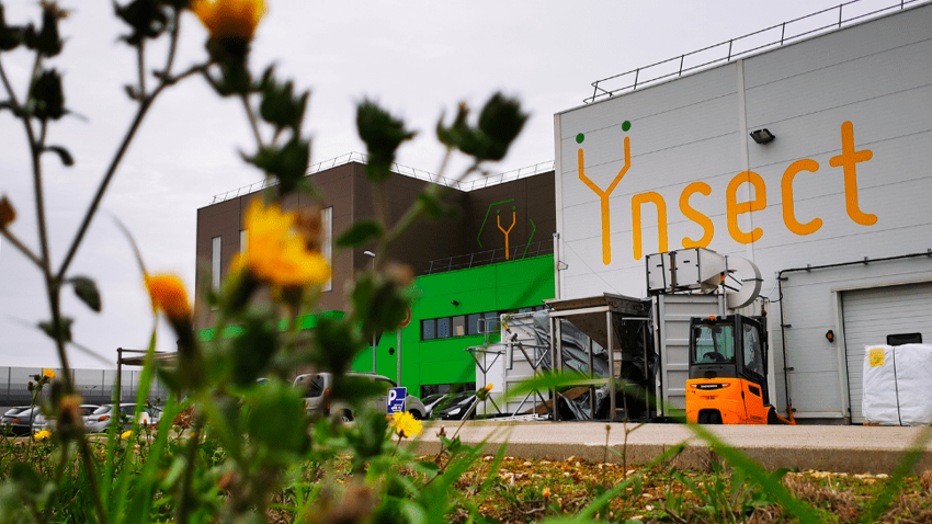 凯特·布什（Kate Bush）和汉斯·齐默（Hans Zimmer），发行一张无声的专辑 / ynsect A接管人，以促进恢复 /鸟猛击荷兰的门