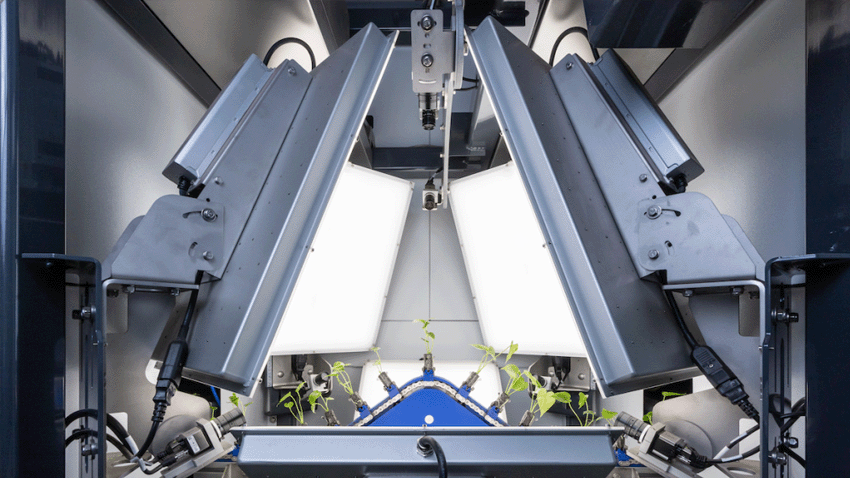 你知道robovivision吗？比利时的Agtech在农业机器人技术领域的AI工业