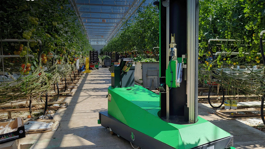 你知道同志吗？温室农业服务的机器人和人工智能