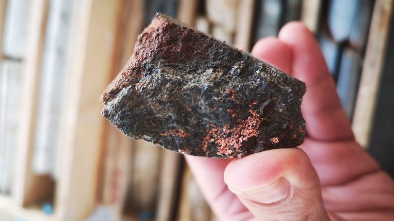 塞拉多黄金以获取上升资源