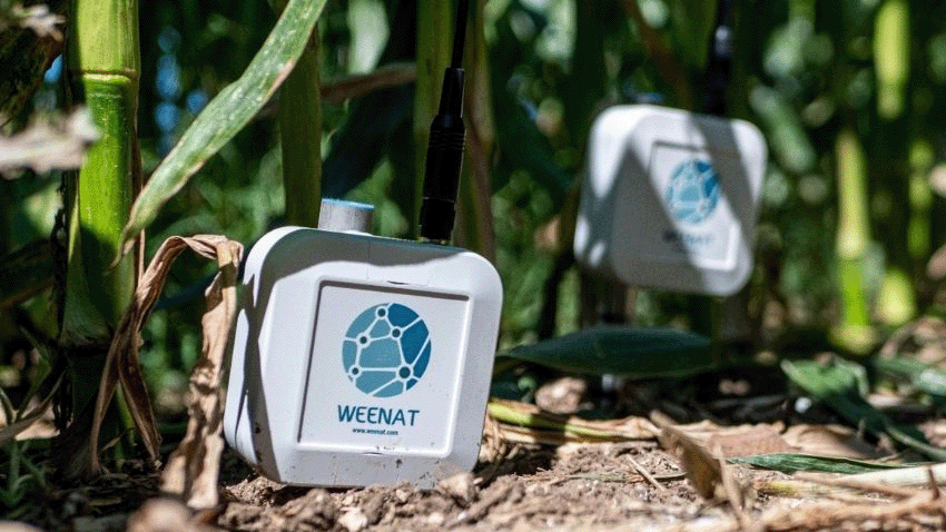 您是否知道周末，这是通过人工智能优化灌溉的初创公司？