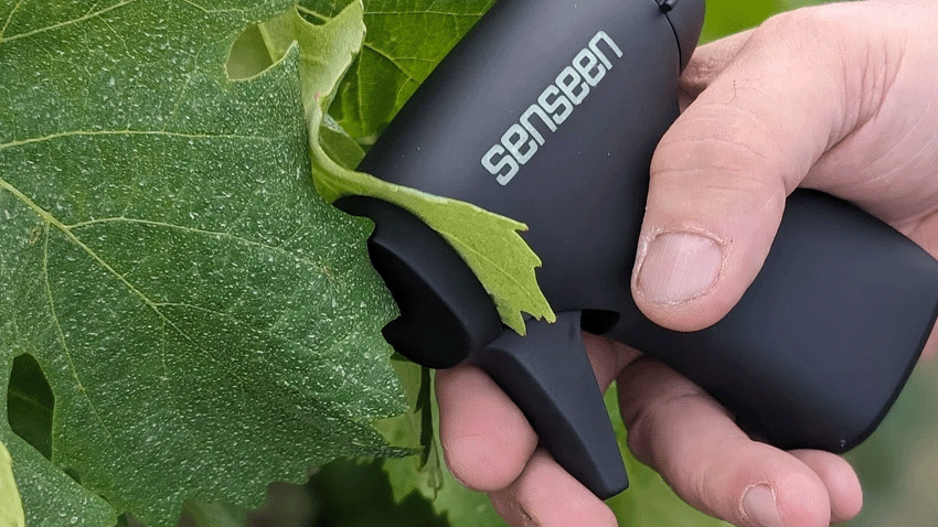 您知道Sensenen，通过微型扫描仪而监视文化健康的初创公司？