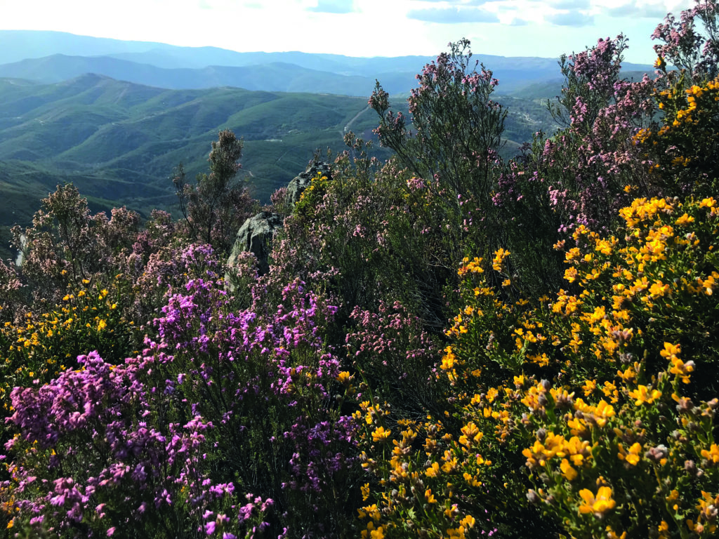 Barroso lithium project in Portugal