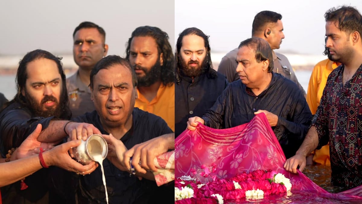 In Pictures
