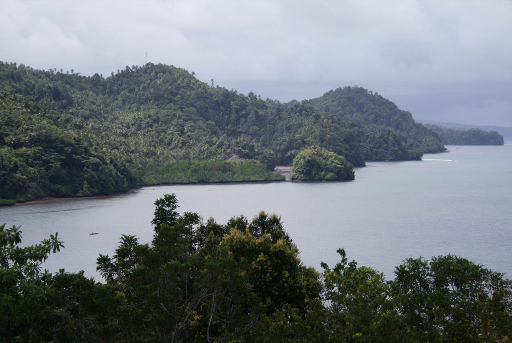 投资交易破产后Baru Gold跌落