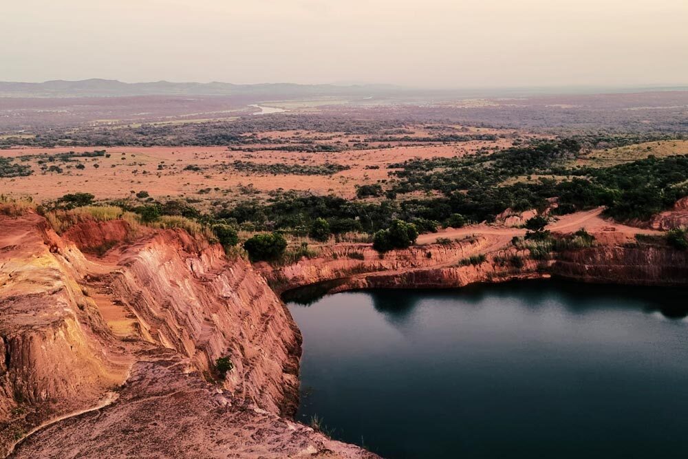 罗伯克斯（Robex