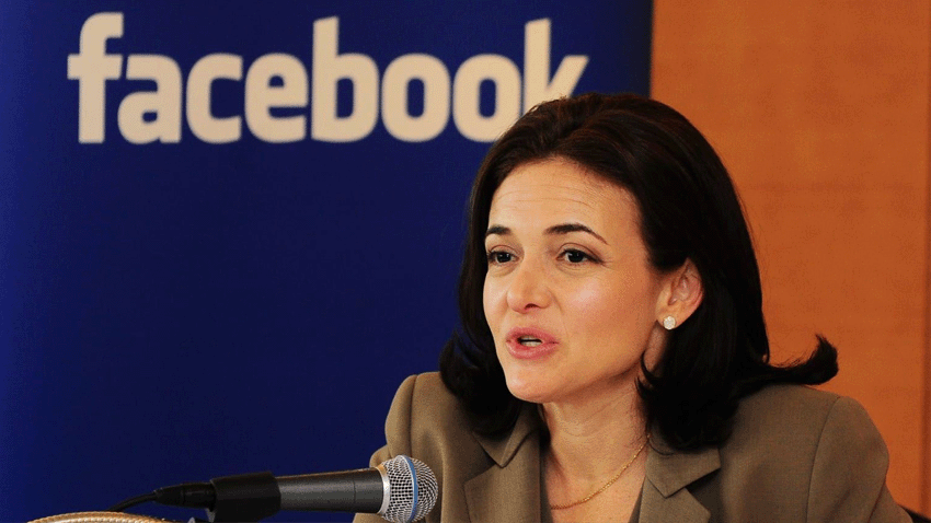 元试验揭示了关注的经济模型