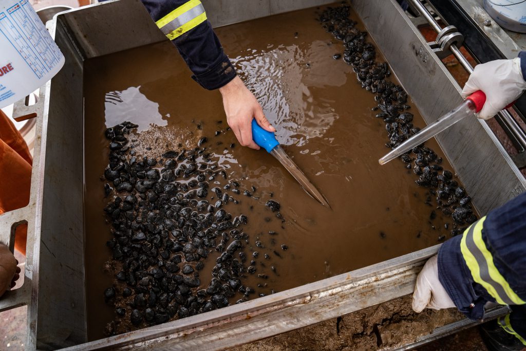 Germany calls for 'precautionary' pause in deep-sea mining