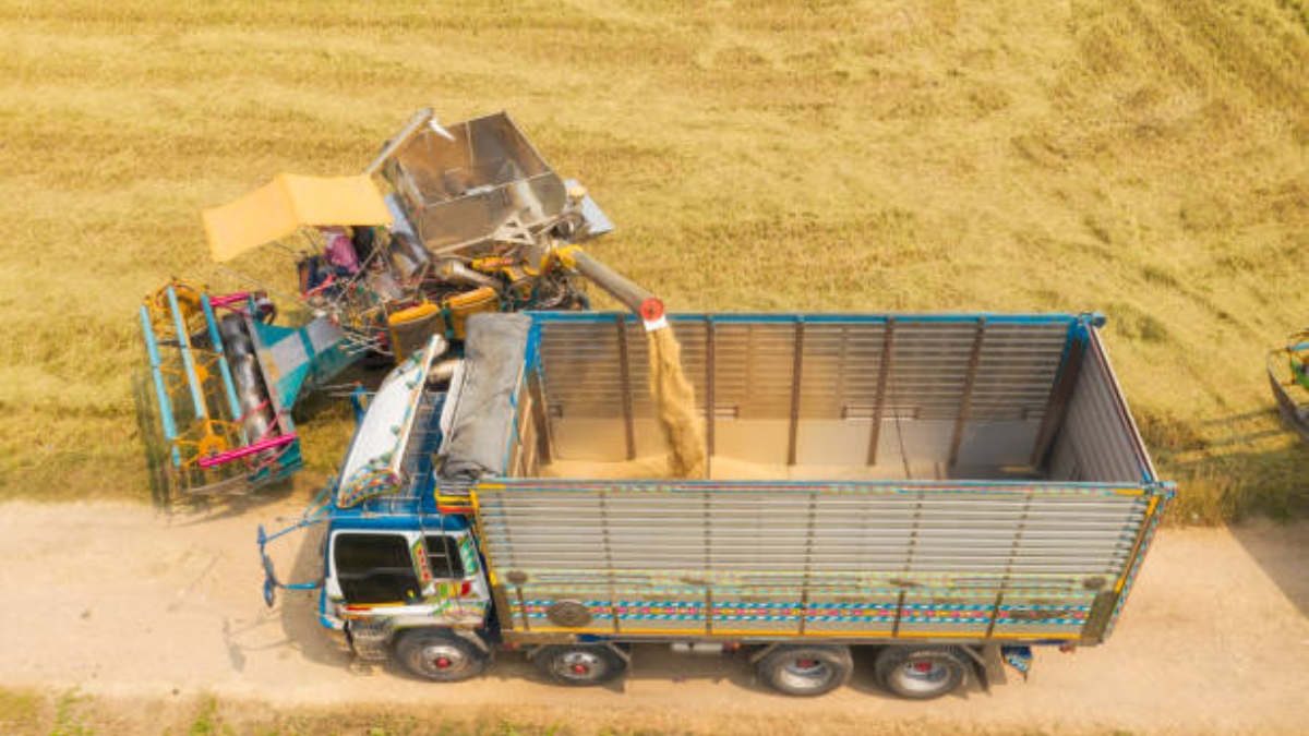 Rice exports hit record $ 12 billion 