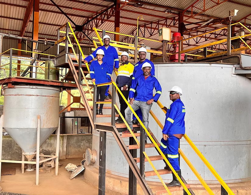 Terra Metals, Metalex seal $100M deal to form copper-cobalt partnership in Zambia