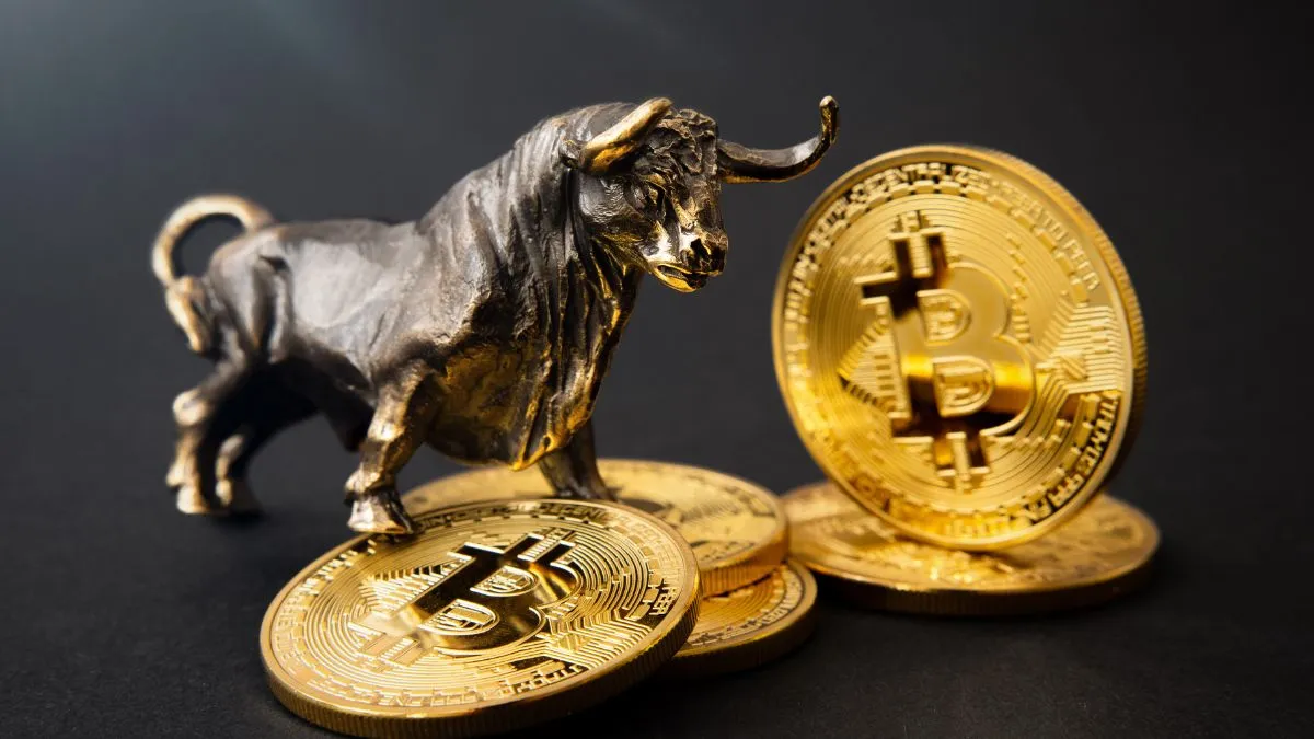 bitcoingmining india