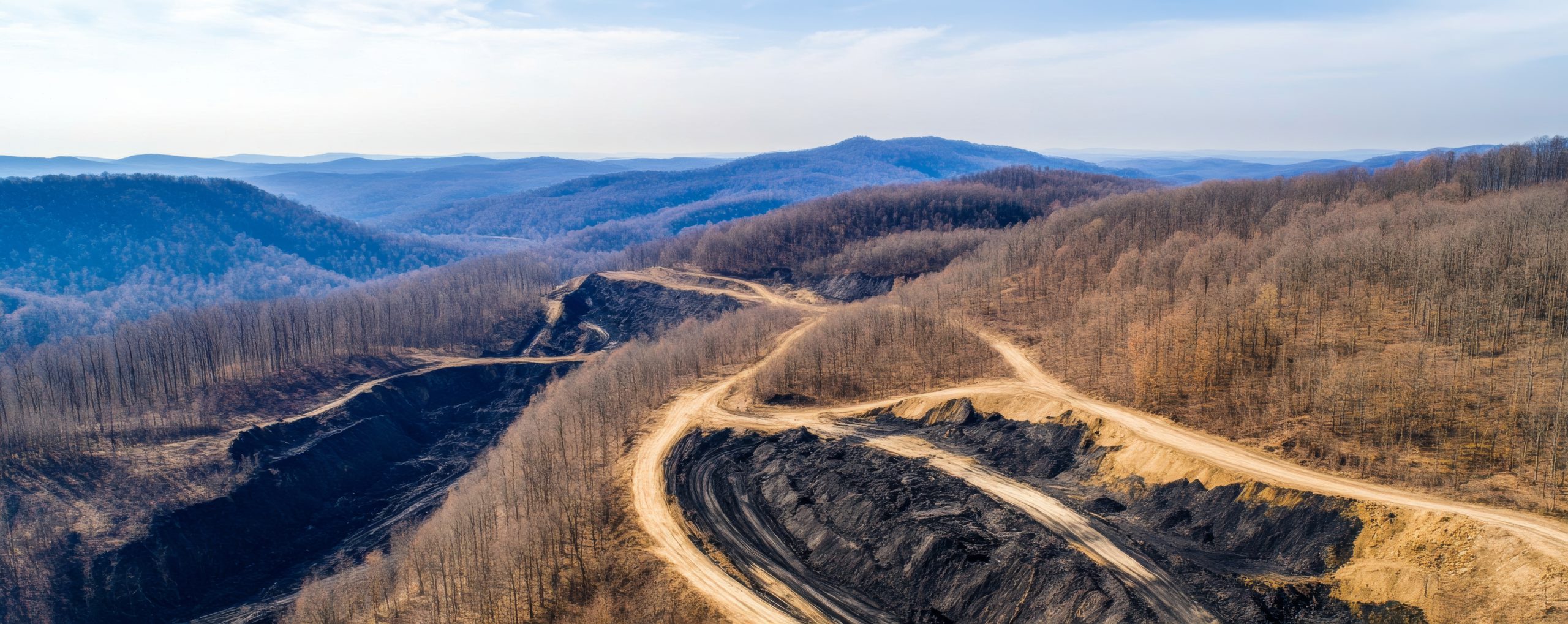 生物技术初创公司，研究人员恢复旧技术从煤炭中制造低碳蛋白 