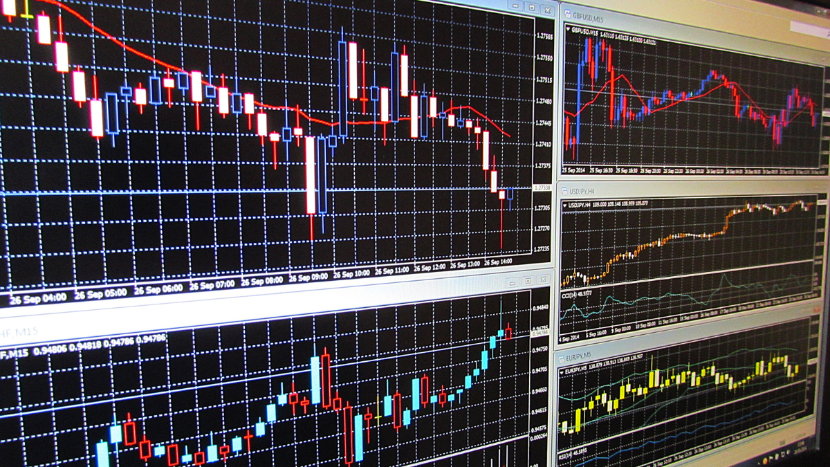 stocks, SBC Exports Ltd, SBC Exports share price, market, ipo