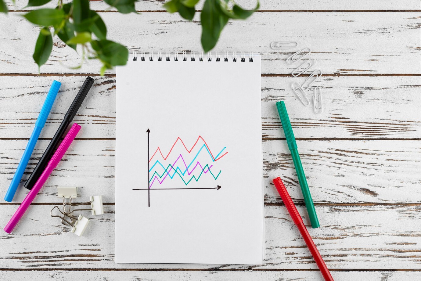 法国中小企业采用的非线性增长策略