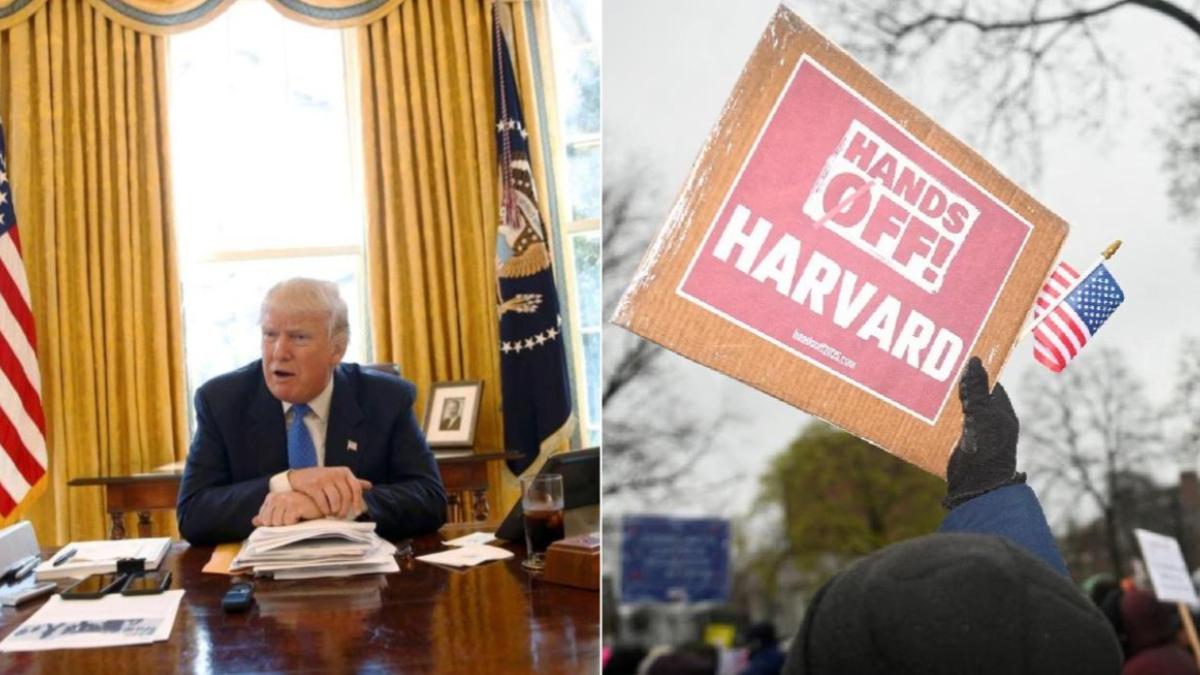 trump, harvard, trump-harvard university, donald trump, breaking news