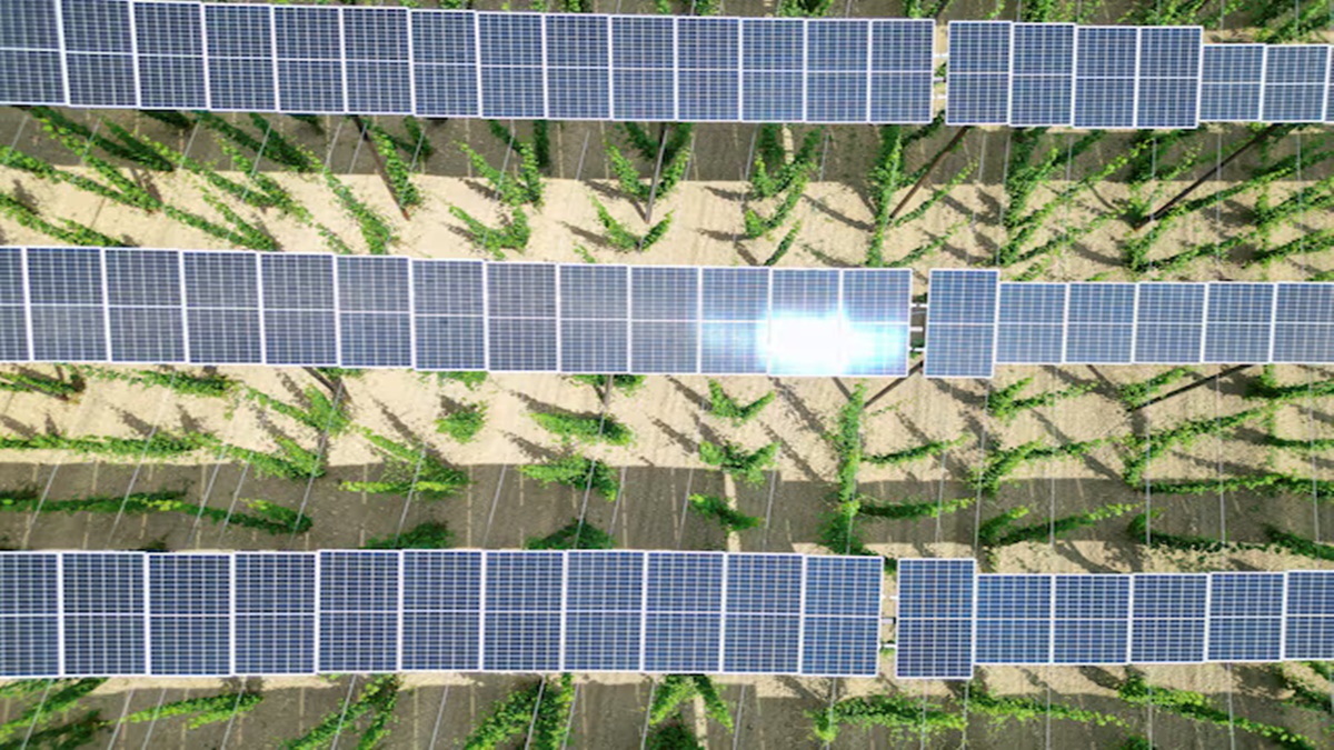 O2 Power, Industry, Power, ACME Solar, NTPC Green, RE, renewable energy