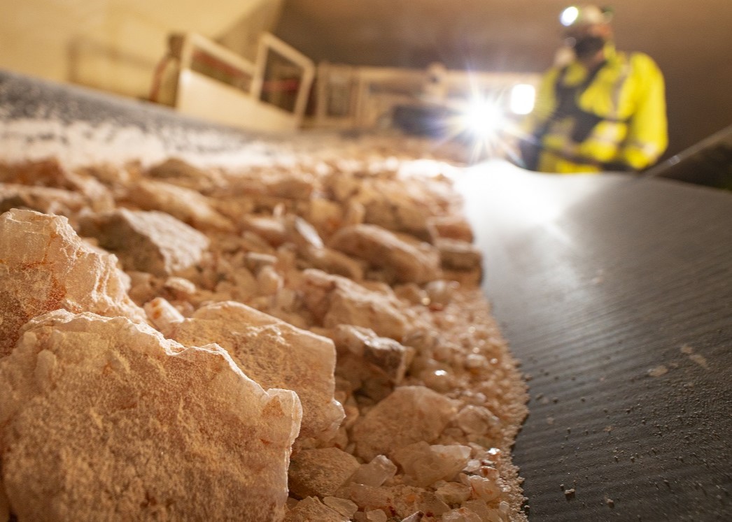 马赛克切割2025磷酸盐在植物挫折上预测；股票下跌