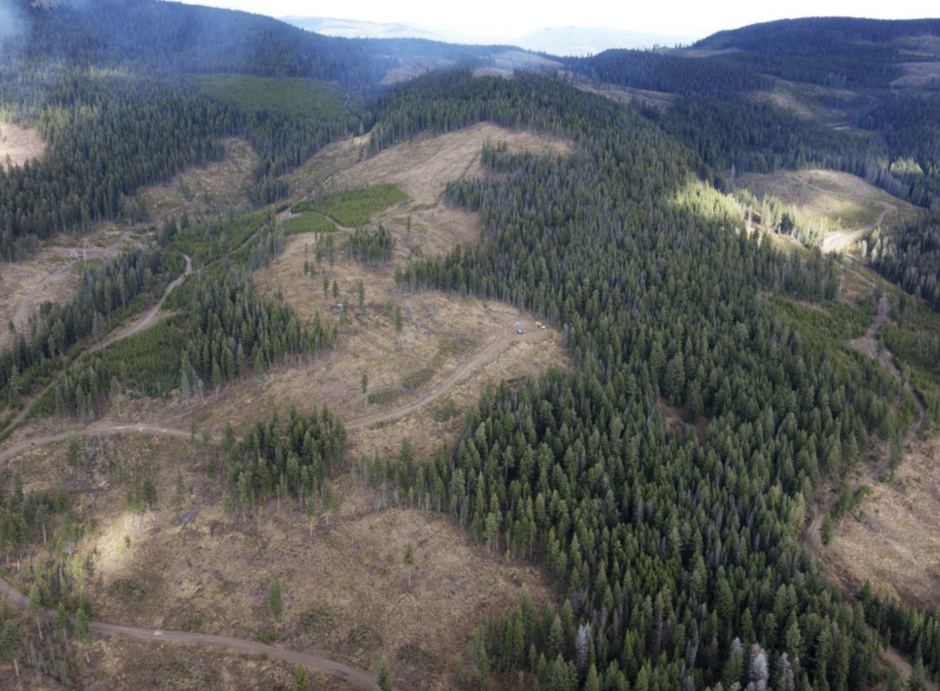 Westhaven Gold从Earthlabs获得了230万美元的投资