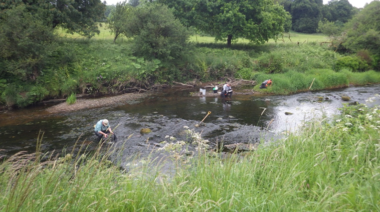 Karelian确定北爱尔兰的铜目标