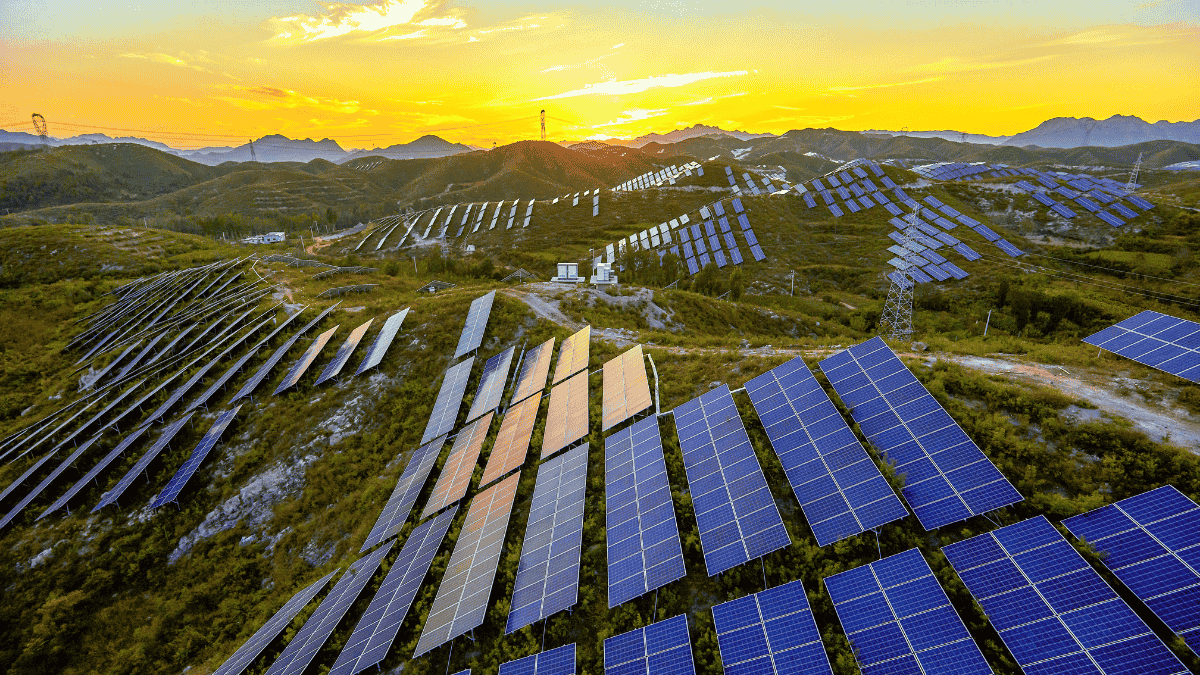 Servotech shares rally after solar project win and visit from Errol Musk, father of Elon Musk