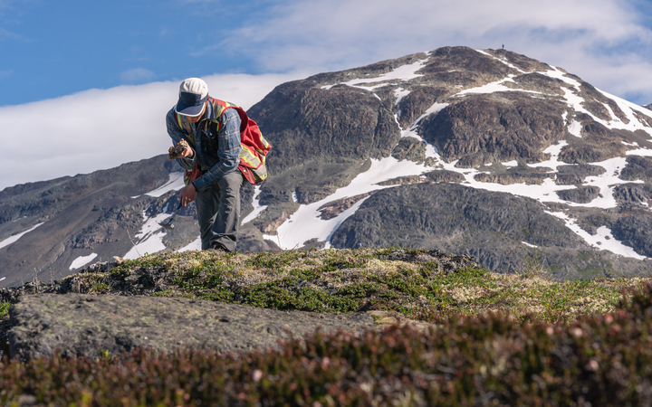 不列颠哥伦比亚