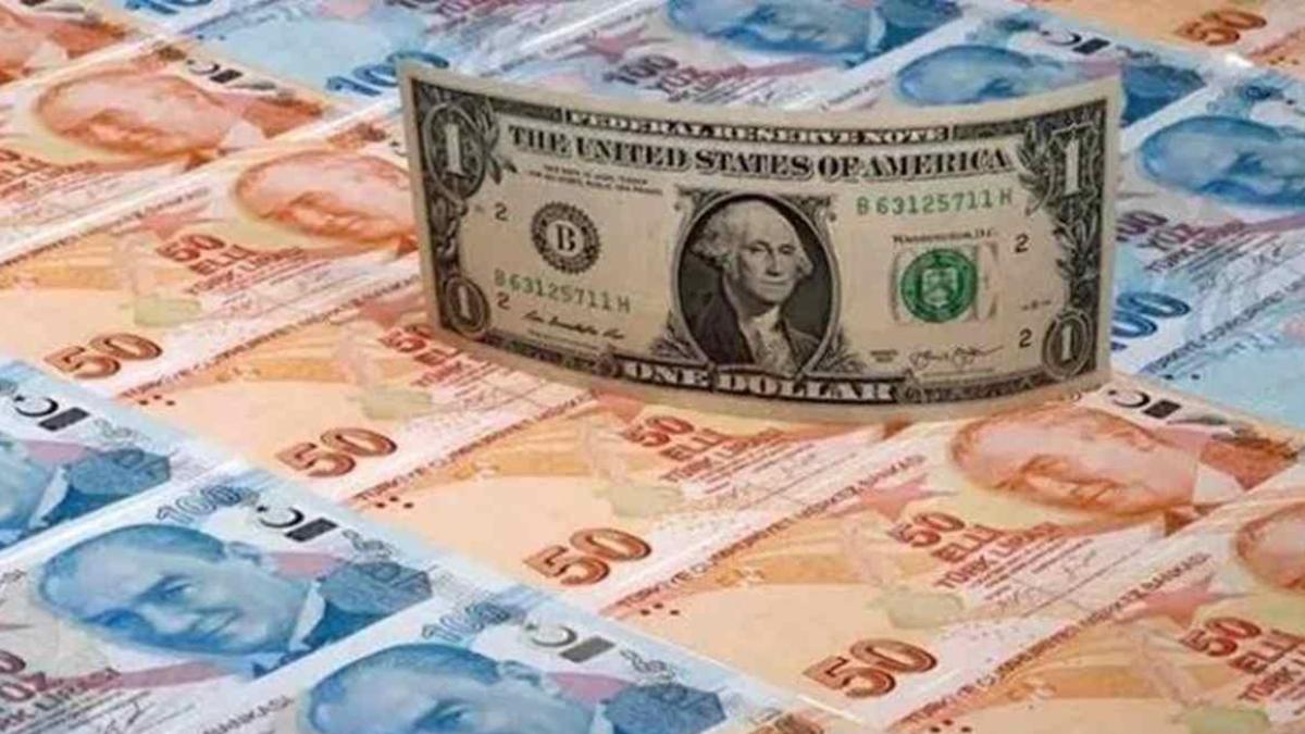 Inflation, monetary policy, rbi rates, India forex reserves, foreign exchange reserves, Reserve Bank of India, India forex reserves increase, forex reserves June 2024