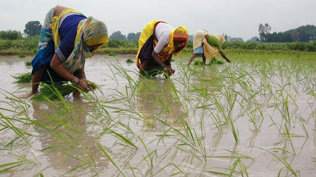 kharif crops, agriculture, farmers, monsoon, Shivraj Singh Chouhan