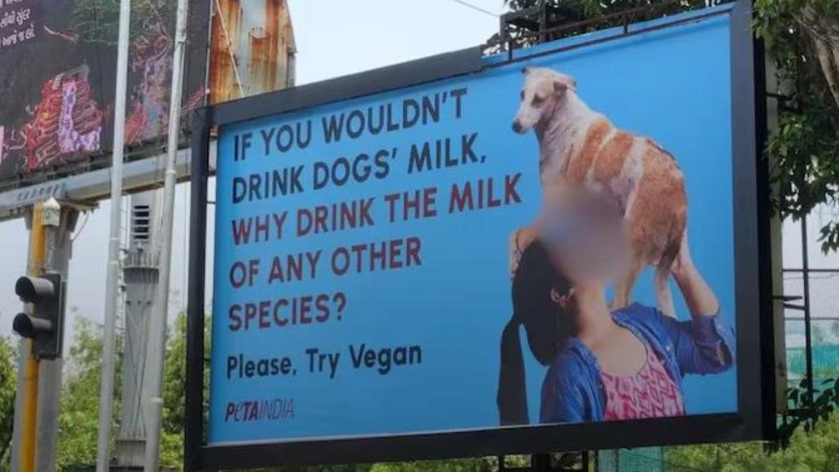 peta dog milk ad, peta india vegan ad, peta vegan ad, peta ad controversy, peta india vegan ad