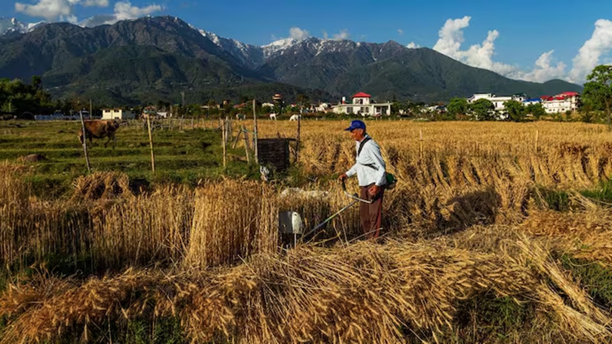 India Launches Krishi Nivesh Portal to Streamline Agri-Investments. (Image Source: PTI)