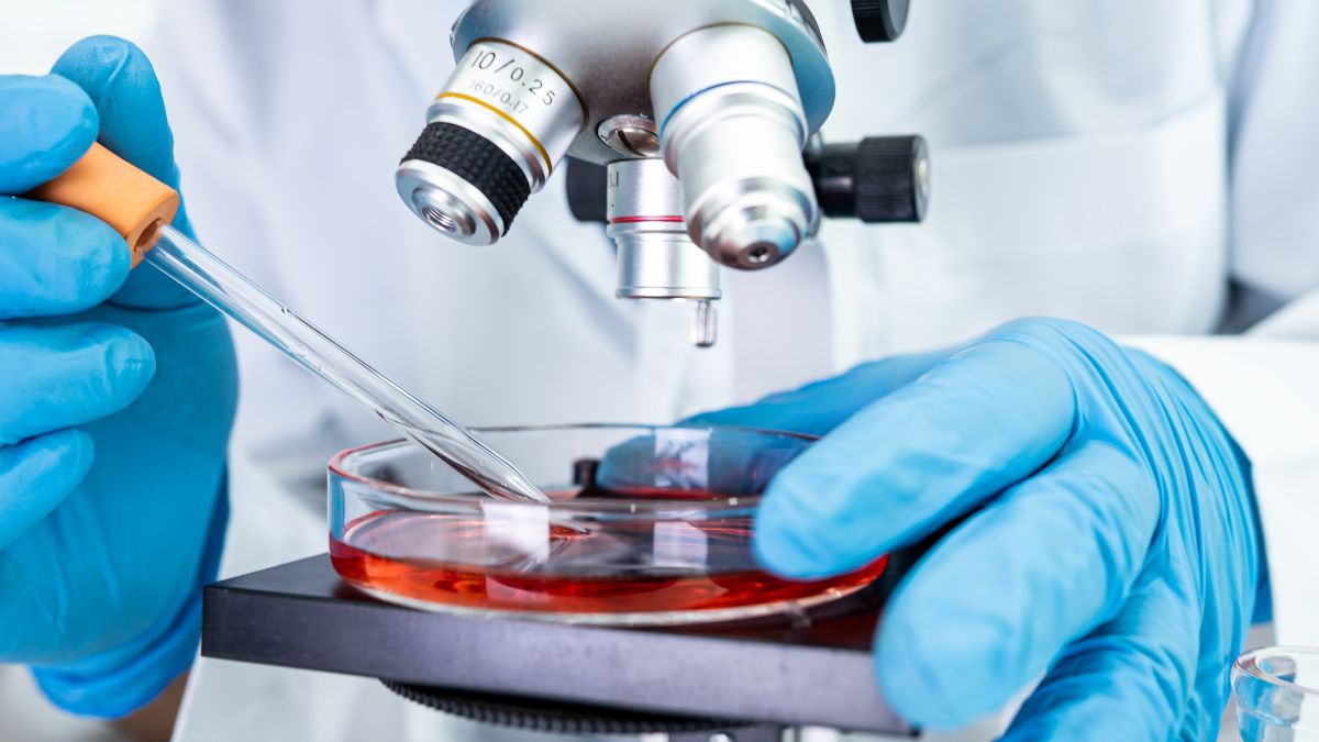 covid-19 new variant china