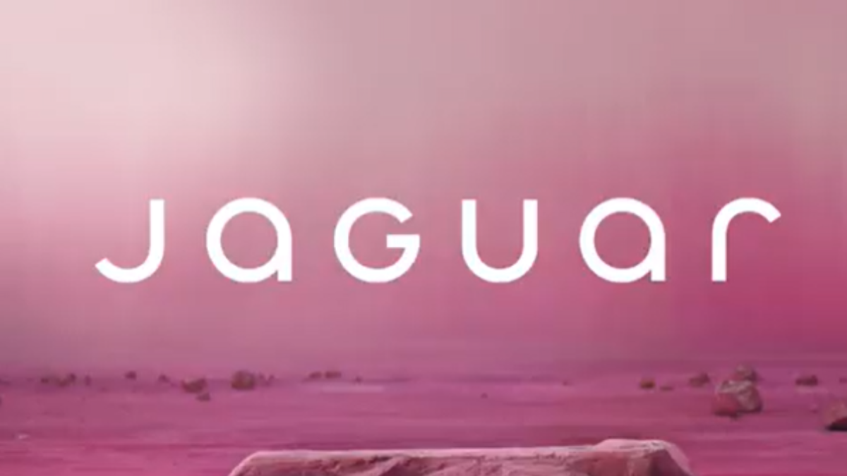 Jaguar Land Rover has lowered its profit expectations in light of the collapse and is dealing with significant revenue losses.