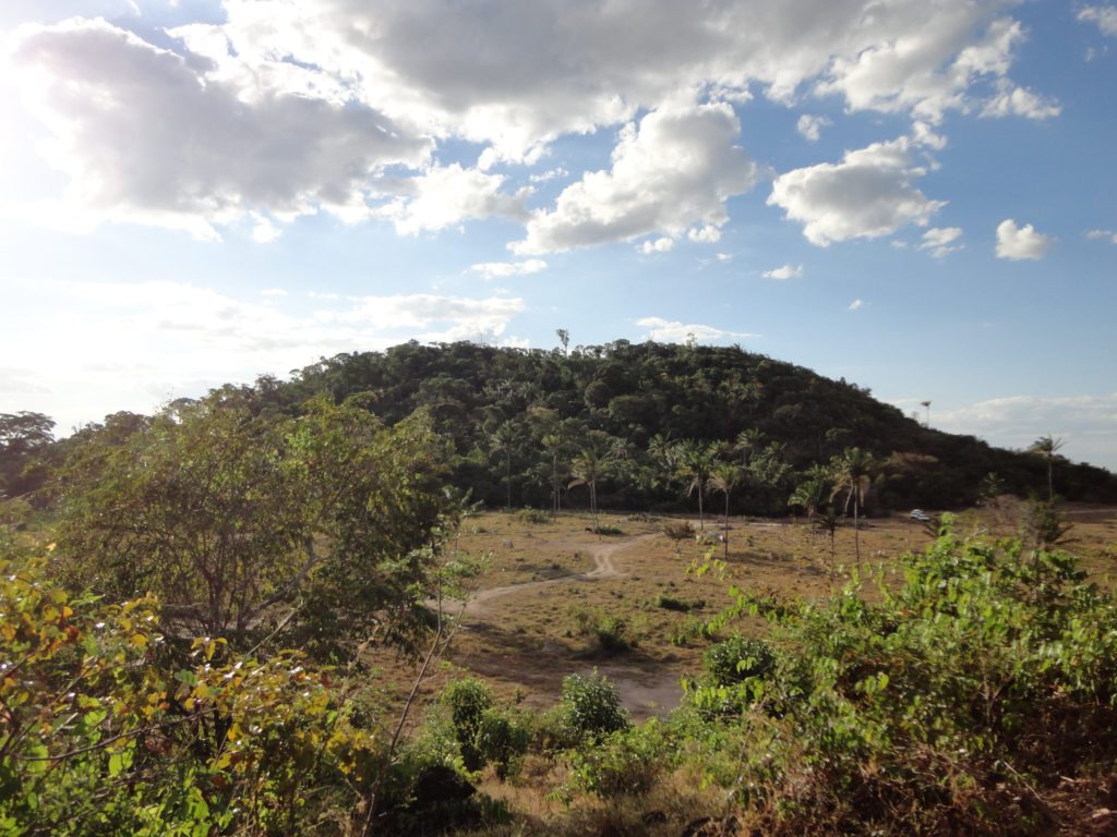 Aura Minerals计划在美国IPO中筹集超过1.98亿美元