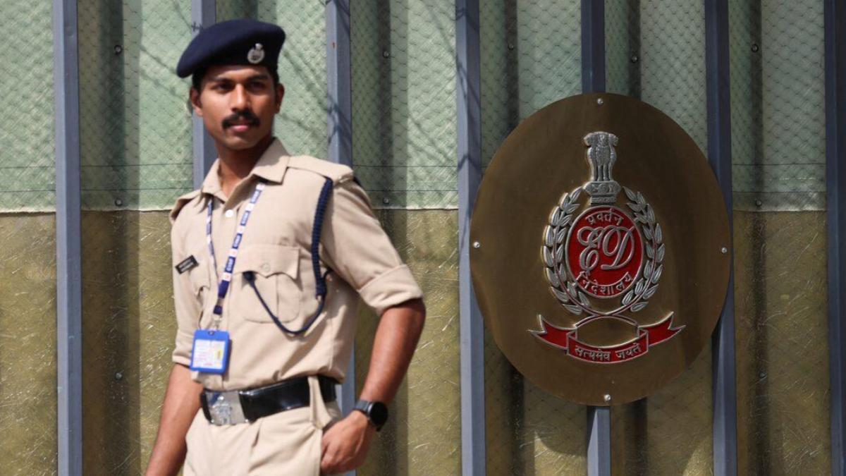 Pet owners put best paw forward with Dog Surfing Championships set for next month