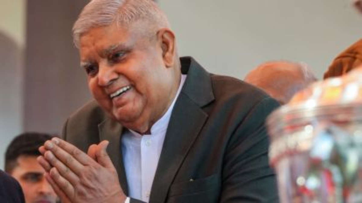 Pet owners put best paw forward with Dog Surfing Championships set for next month