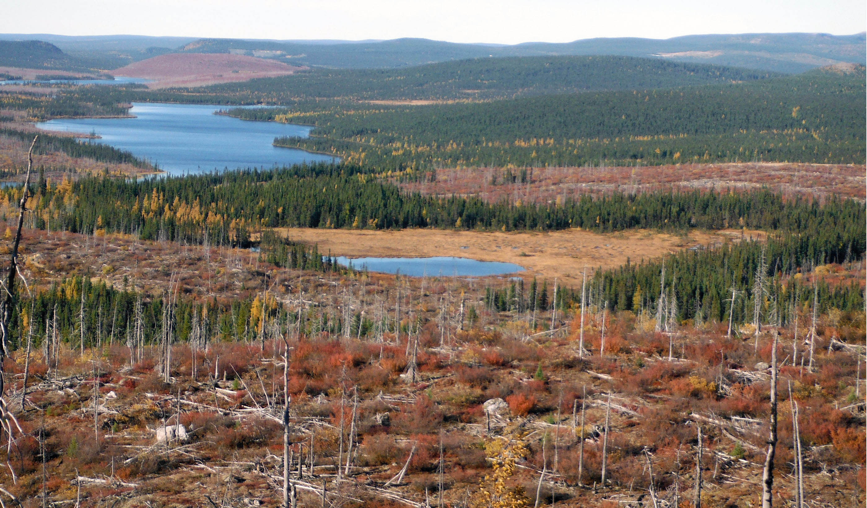 Champion Iron从Nippon Steel,Sojitz for Canada Project获得1.791亿美元