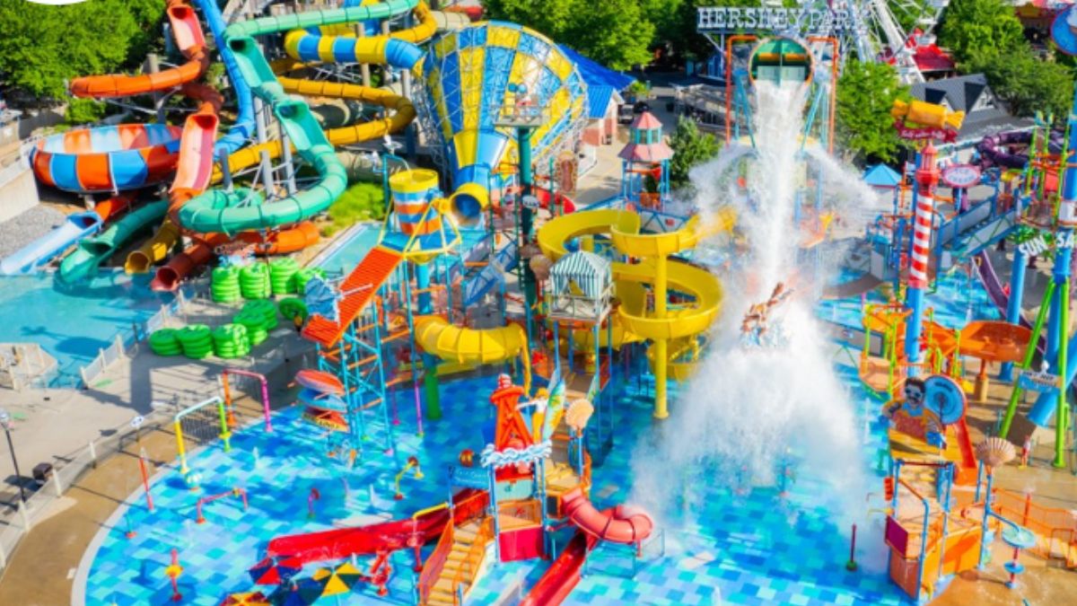 Sip your way to a happy gut: 9 drinks that boost digestion naturally