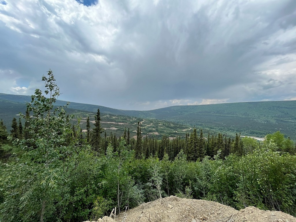 FreeGold在黄金峰会资源更新中命中5年高点