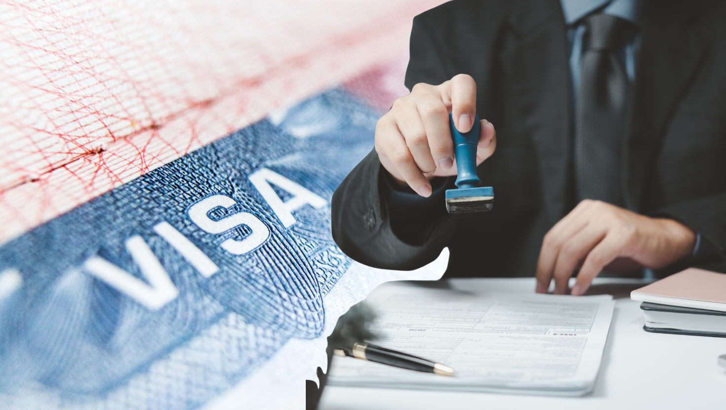 Pet owners put best paw forward with Dog Surfing Championships set for next month