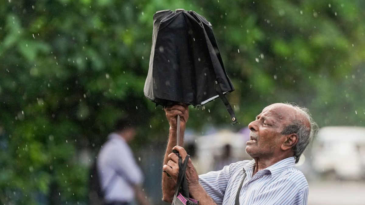 IMD Predicts "Above Normal" July Monsoon, Boosting Kharif Sowing & India's Agricultural Outlook for 2025-26. (Image Source: PTI)