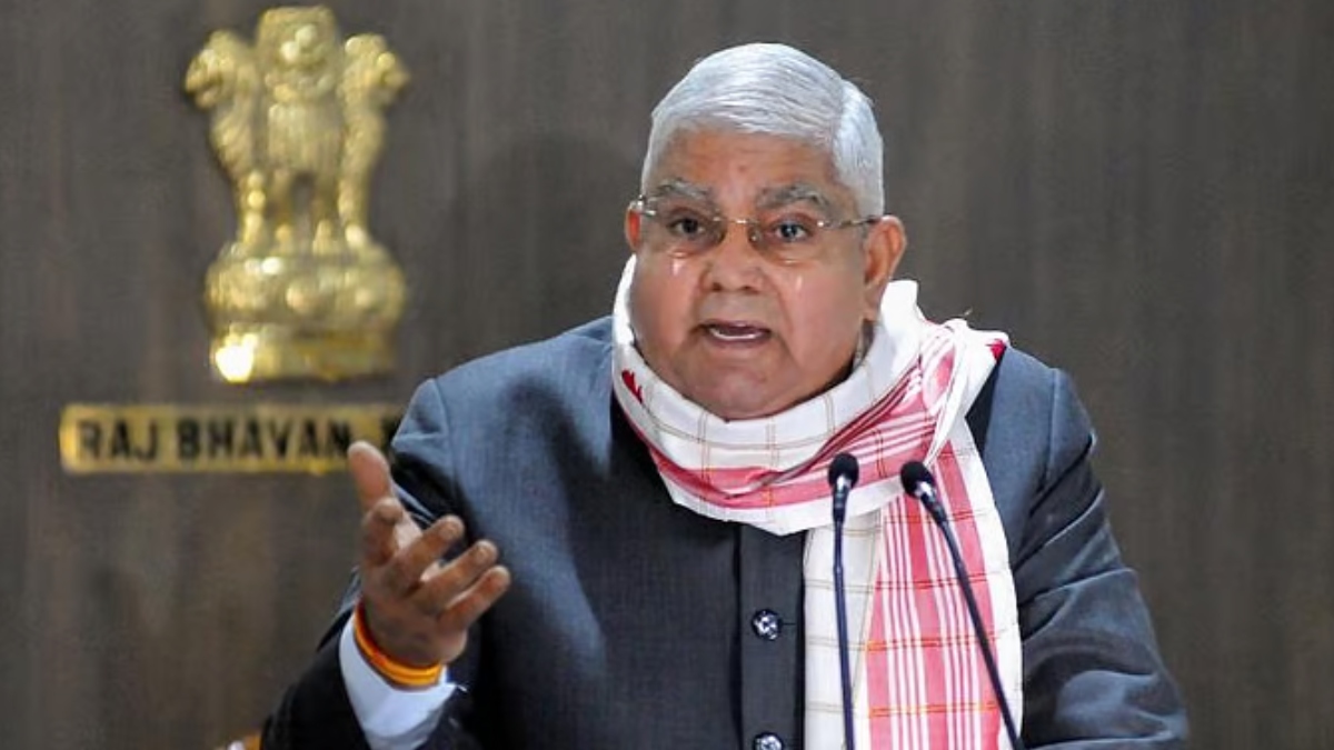 Pet owners put best paw forward with Dog Surfing Championships set for next month