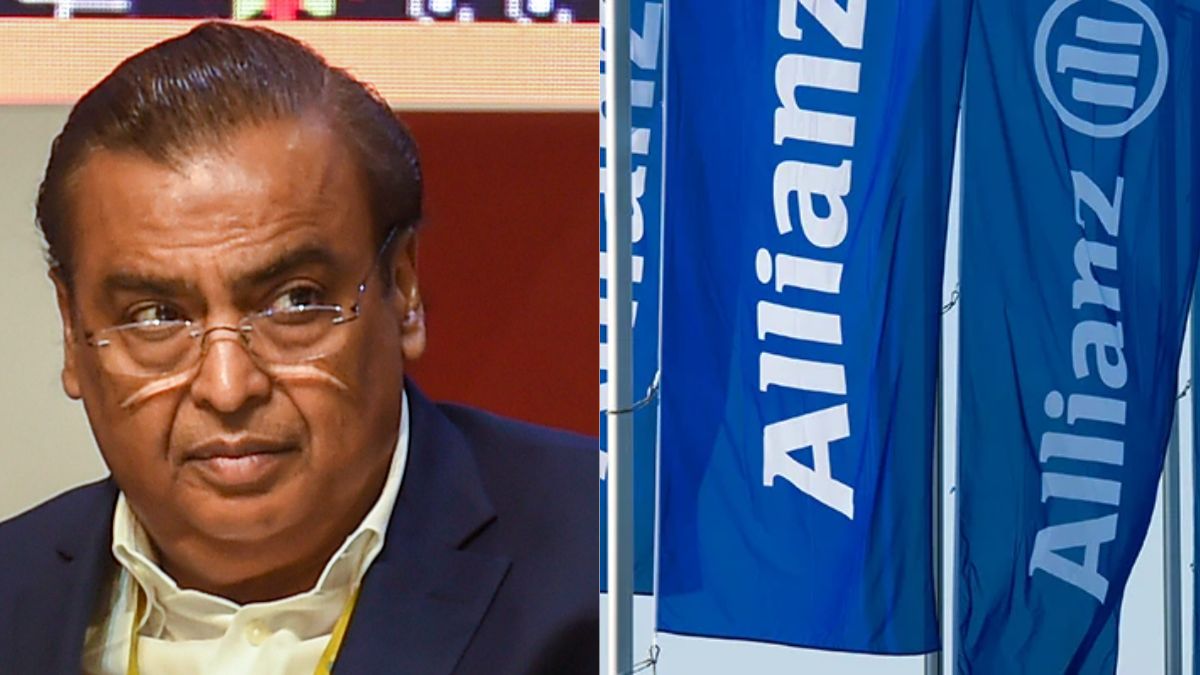 Pet owners put best paw forward with Dog Surfing Championships set for next month