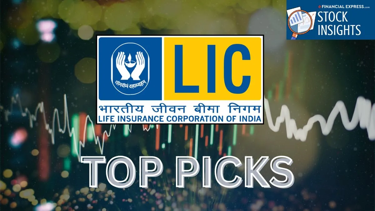 LIC's Top Equity Bets - Growth or Preservation in a High Market? (Image Source: Canva)