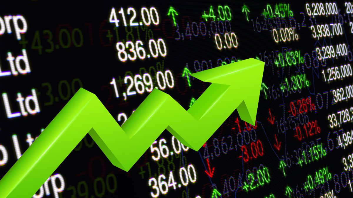 Pet owners put best paw forward with Dog Surfing Championships set for next month