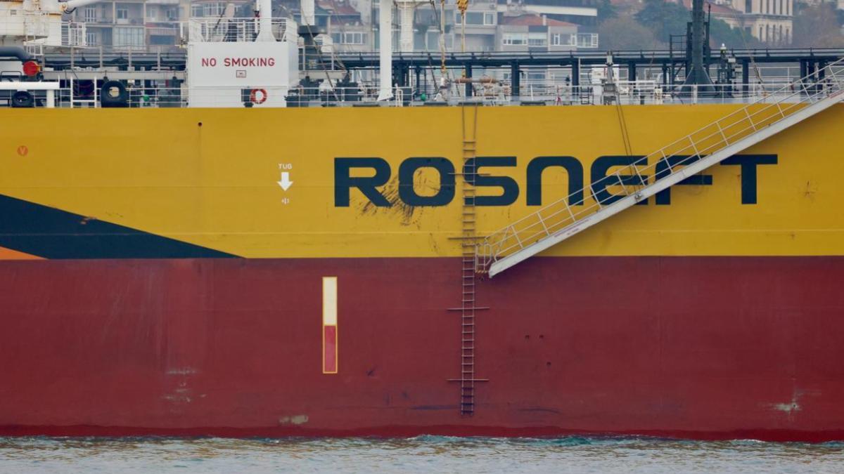 Pet owners put best paw forward with Dog Surfing Championships set for next month