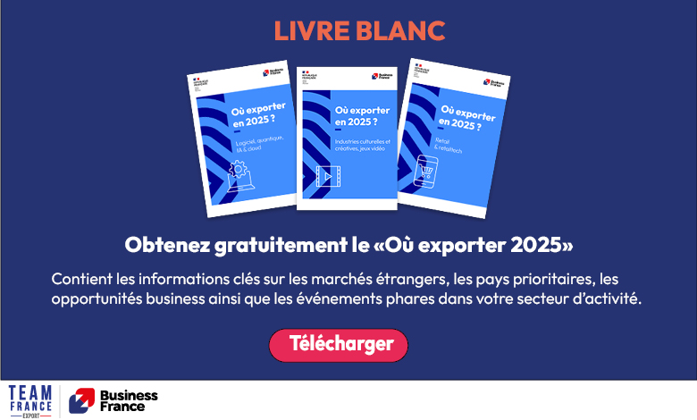 国际法国工程和文化创新：2025年的机会和策略
