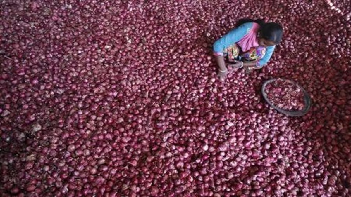 procurement, onion, market price, economy, farmers, Nafed, NCCF
