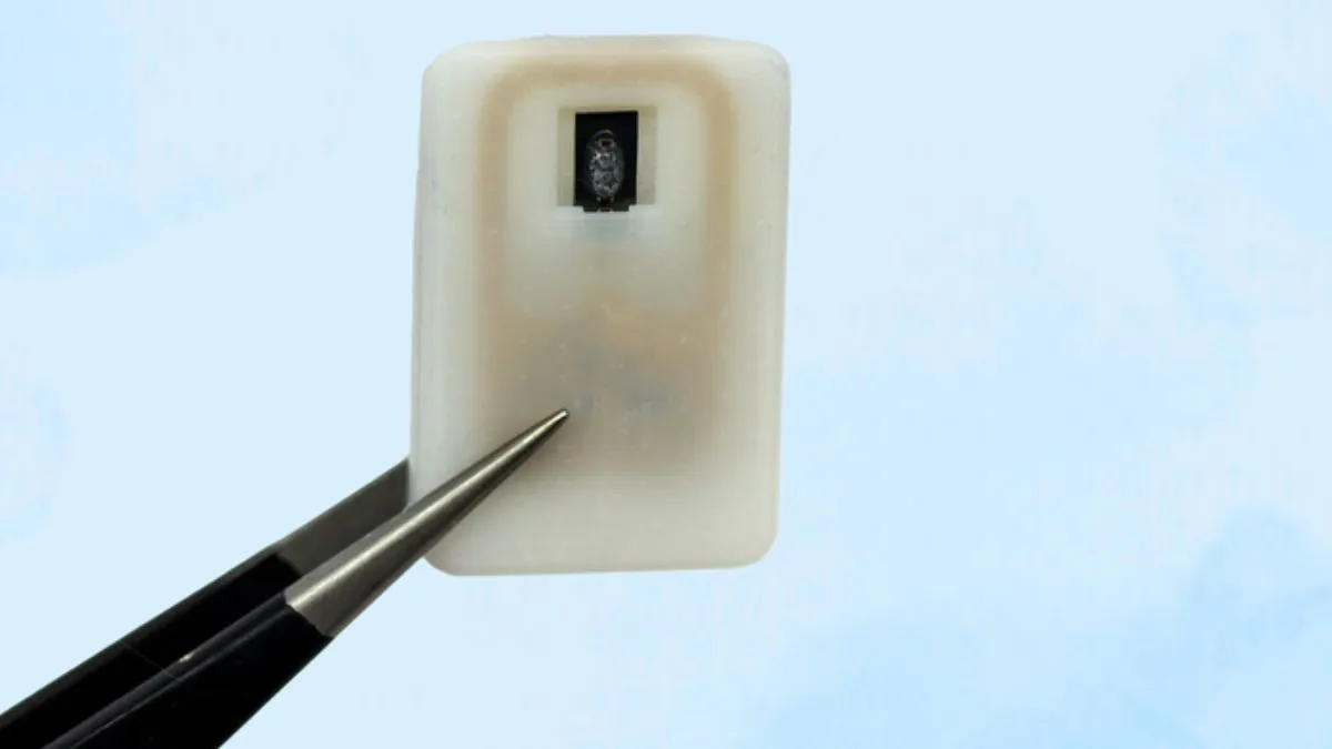 Implantable device for diabetes