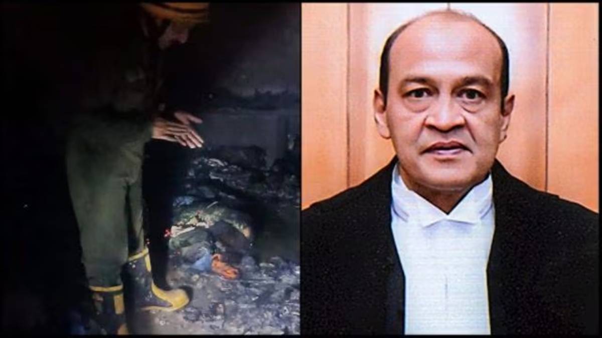 What your food cravings really mean: Decoding hidden health warnings