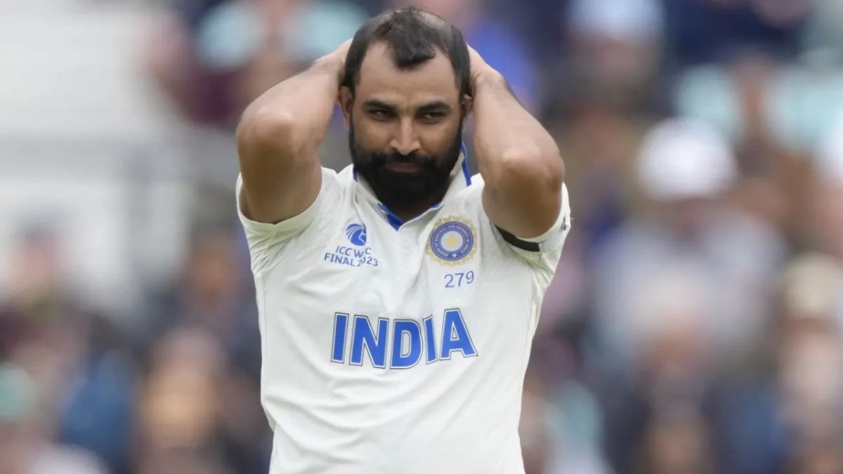 mohammad shami divorce alimony