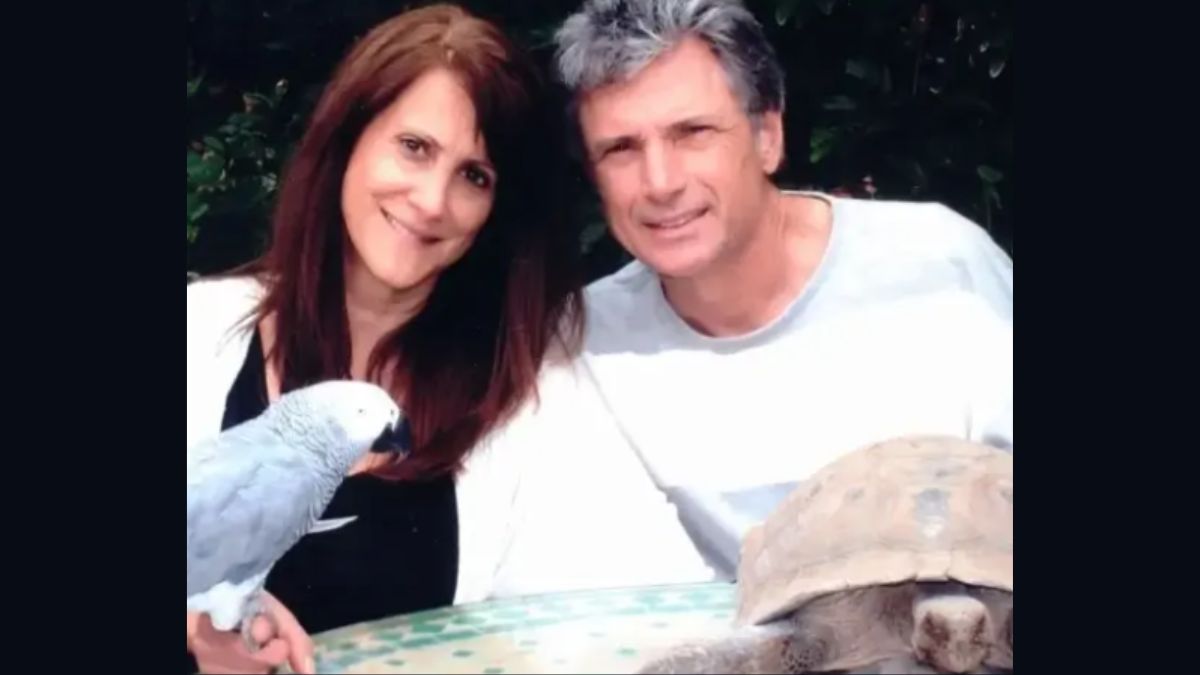 Tragedy strikes Tomorrowland: Fire wrecks main stage in Belgium a day before festival